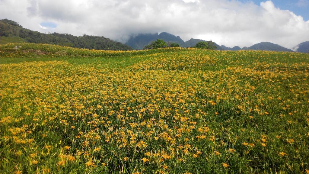 3520 Homestay Taitung Exterior foto